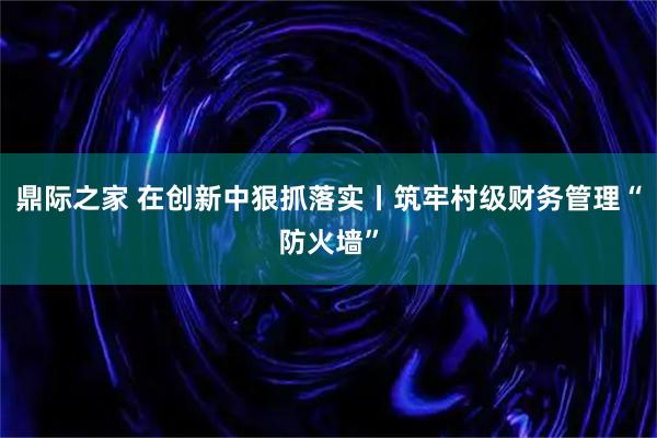 鼎际之家 在创新中狠抓落实丨筑牢村级财务管理“防火墙”