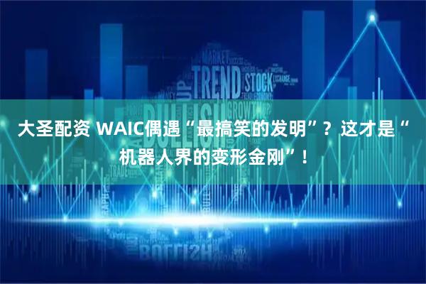 大圣配资 WAIC偶遇“最搞笑的发明”？这才是“机器人界的变形金刚”！